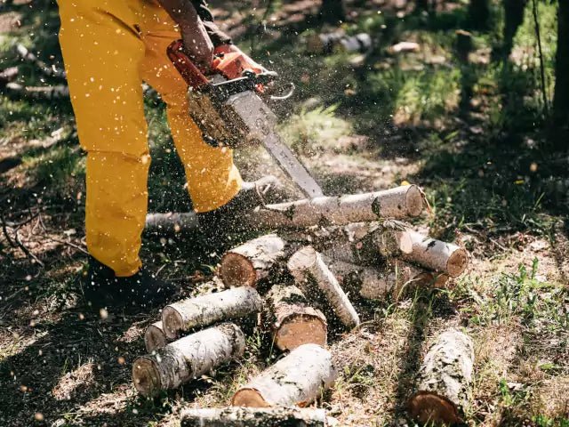 Forst - Wicki Forst AG