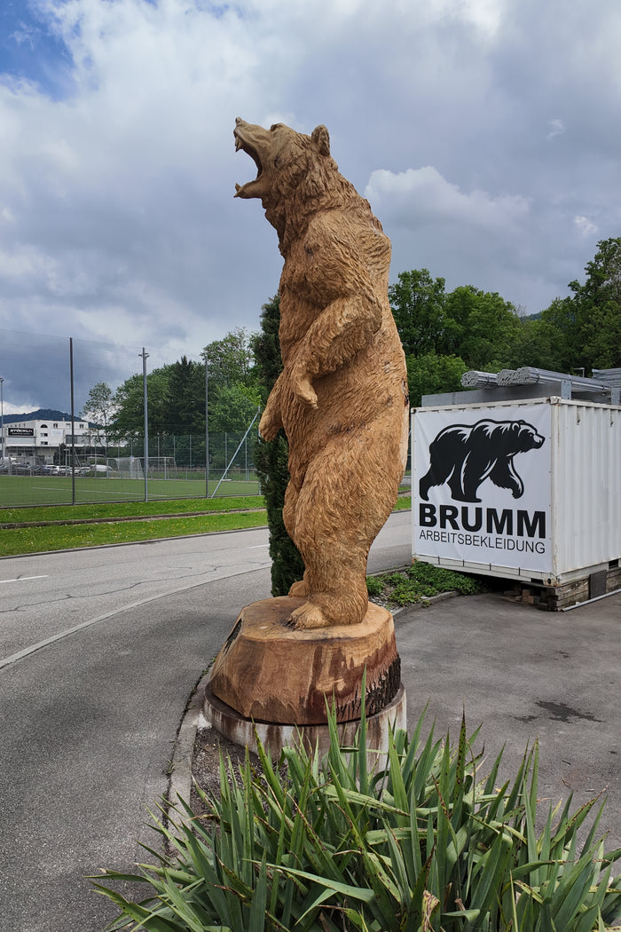 BRUMM Bär auf seinem Baumstamm, dahinter der Sportplatz