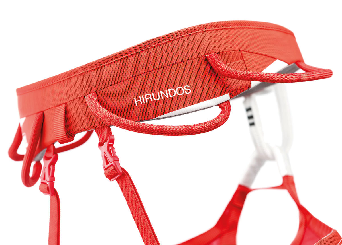 c036aa-hirundos-focus-3_lowres