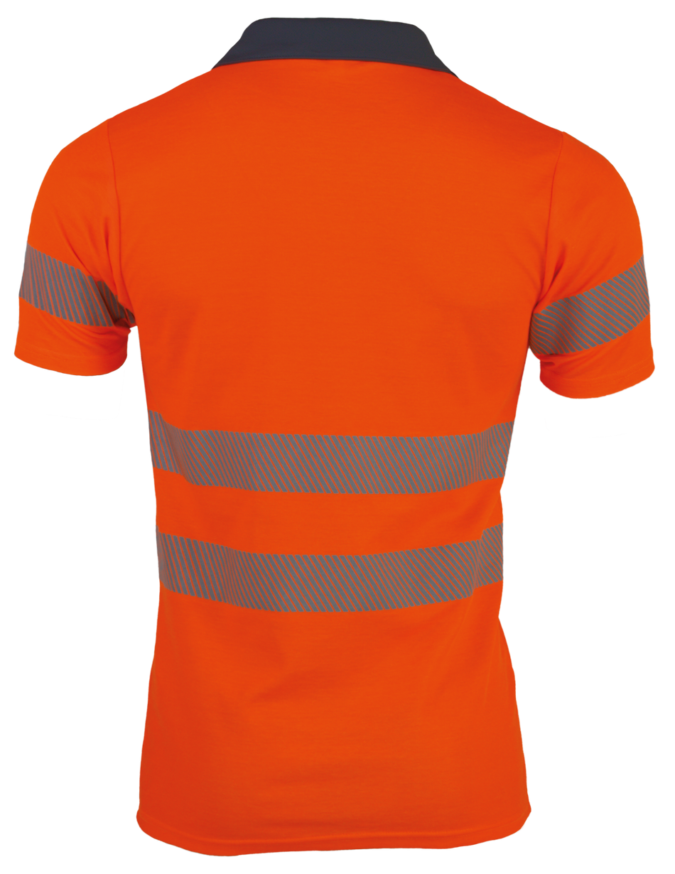 cp321-hinten