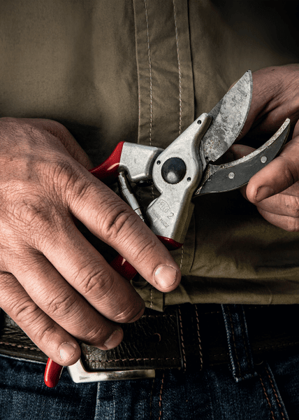 Felco - FELCO 2 Einhand Baum - Garten Schere - Wicki Forst AG
