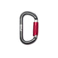 Fixe - Karabiner Symmetric selbstverriegelnd 2P - Wicki Forst AG