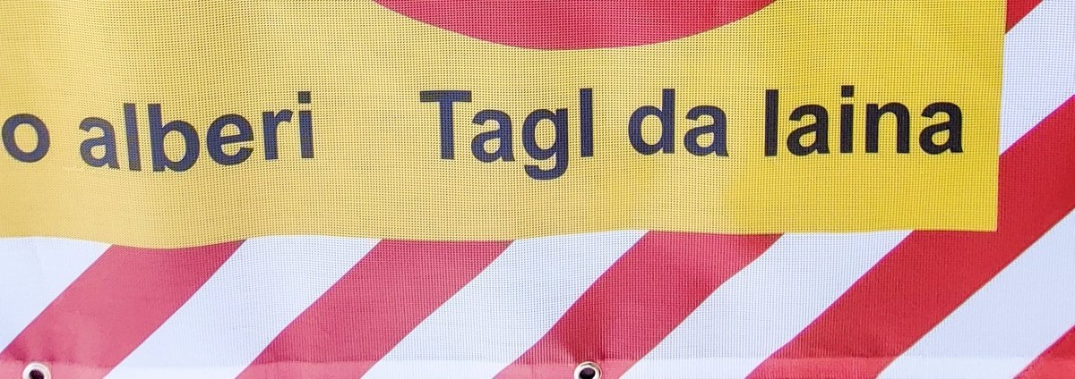 Forstabsperrung Holzschlag Lochblache Winddurchlässig - Wicki Forst AG