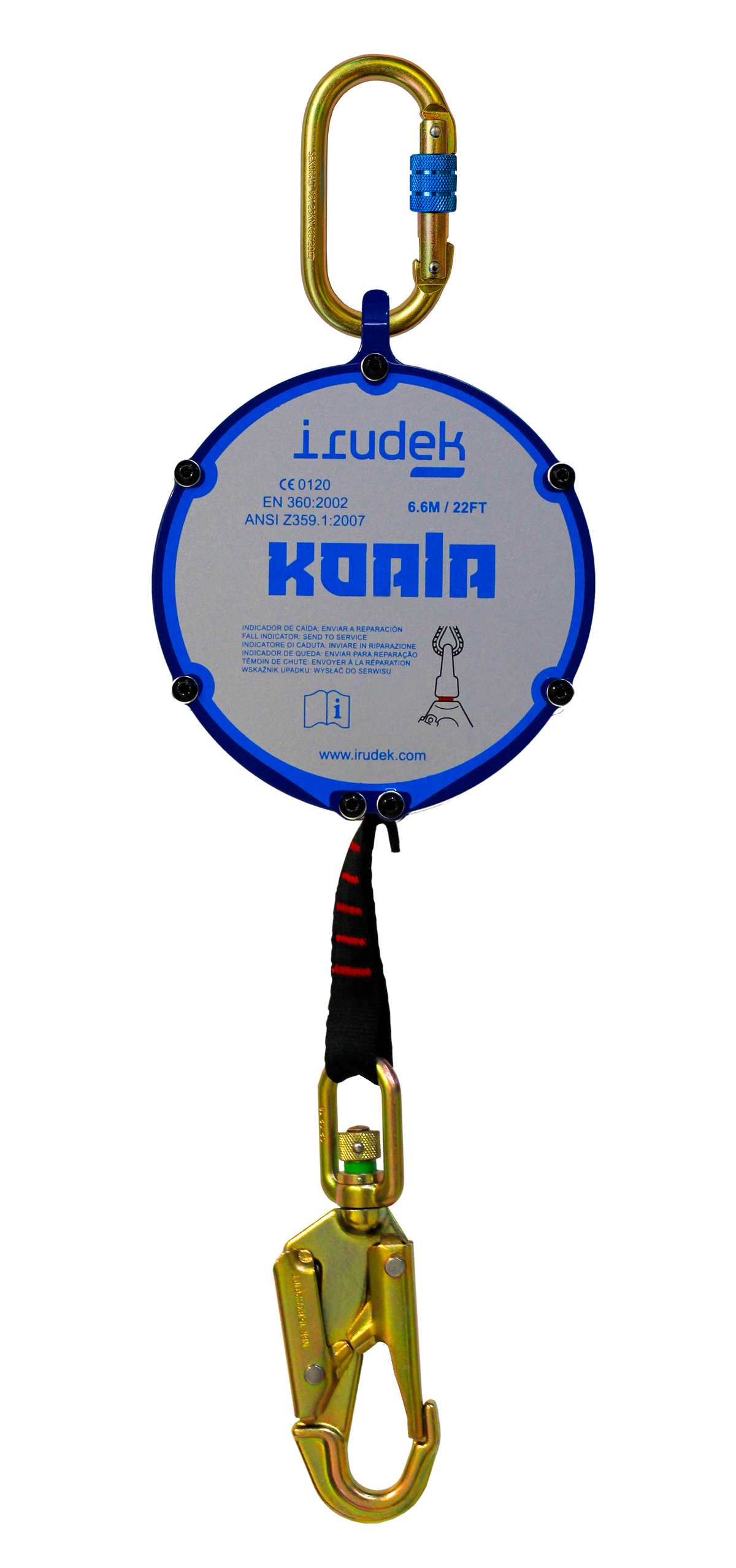 koala-6-6