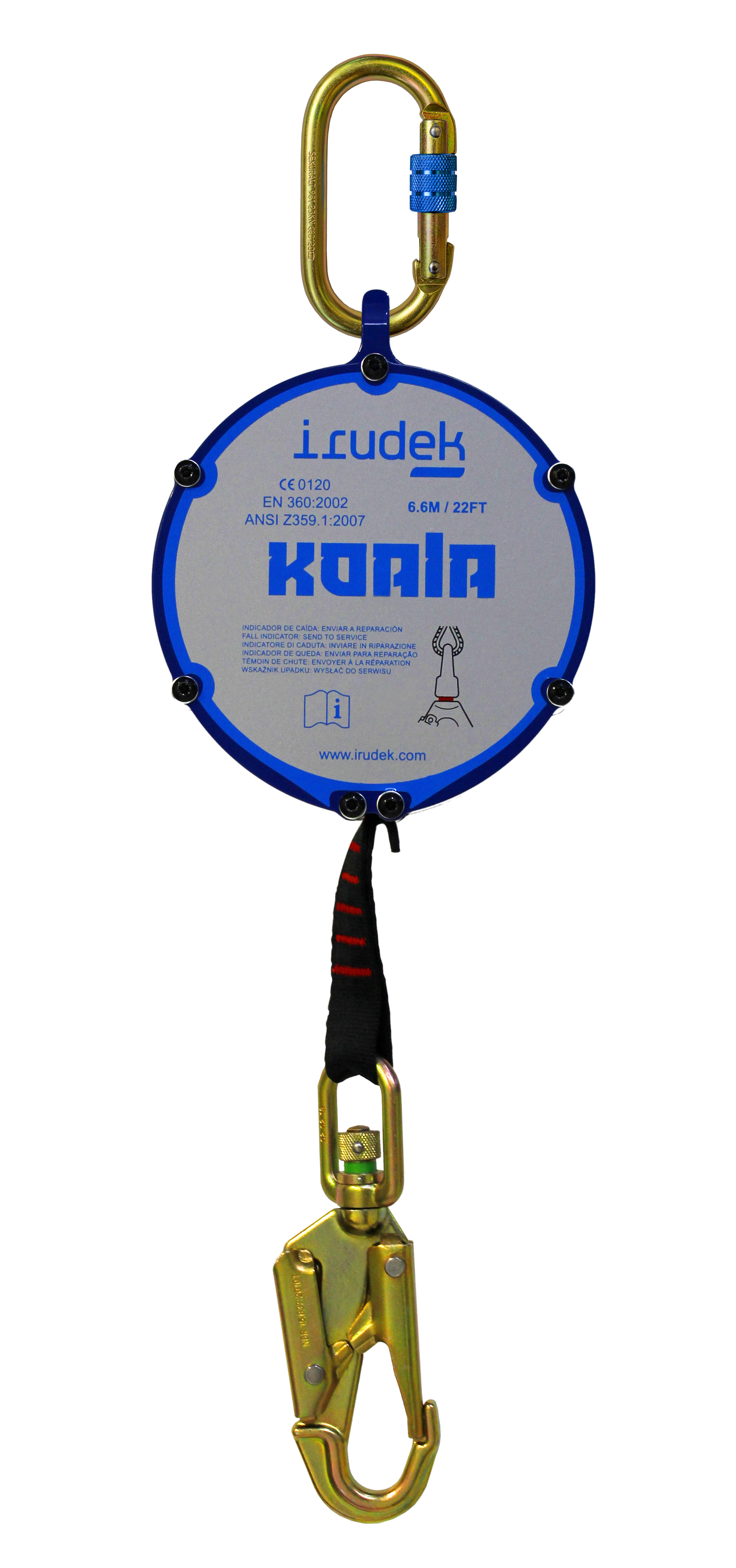 koala-6-6