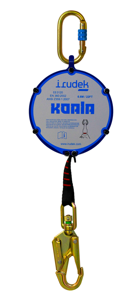 koala-6-6