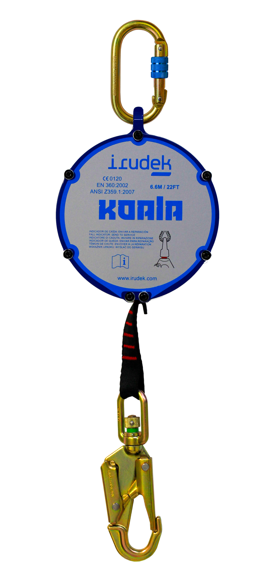 koala-6-6