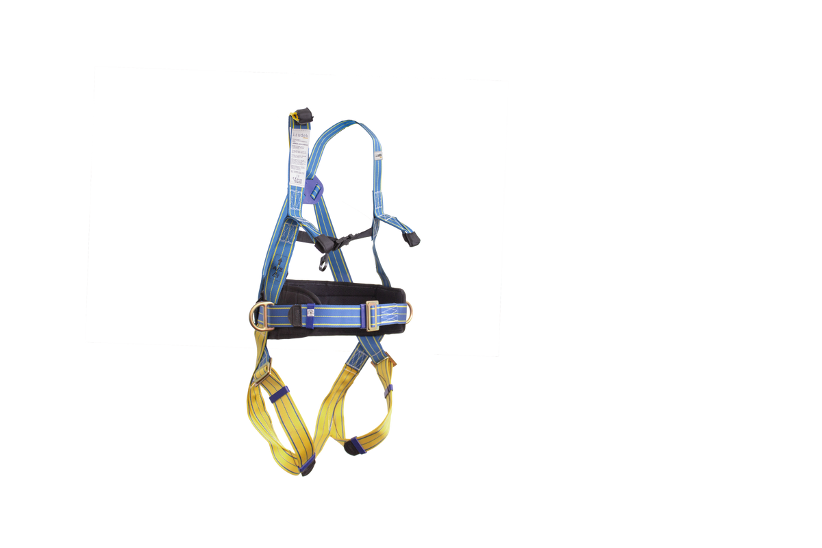 light_plus4_34