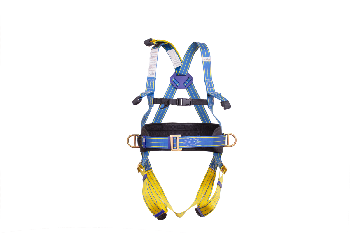 light_plus4_front