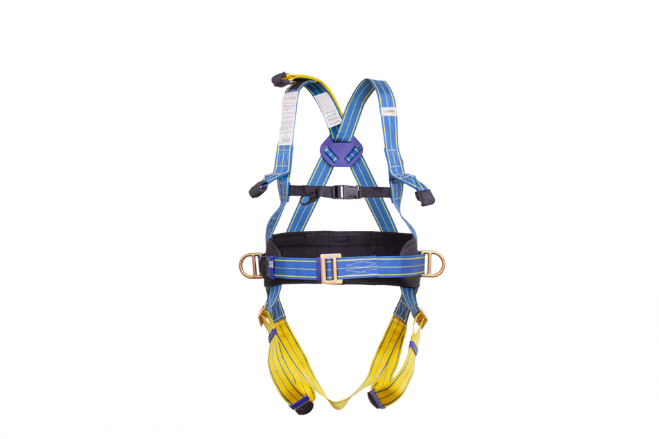 light_plus4_front