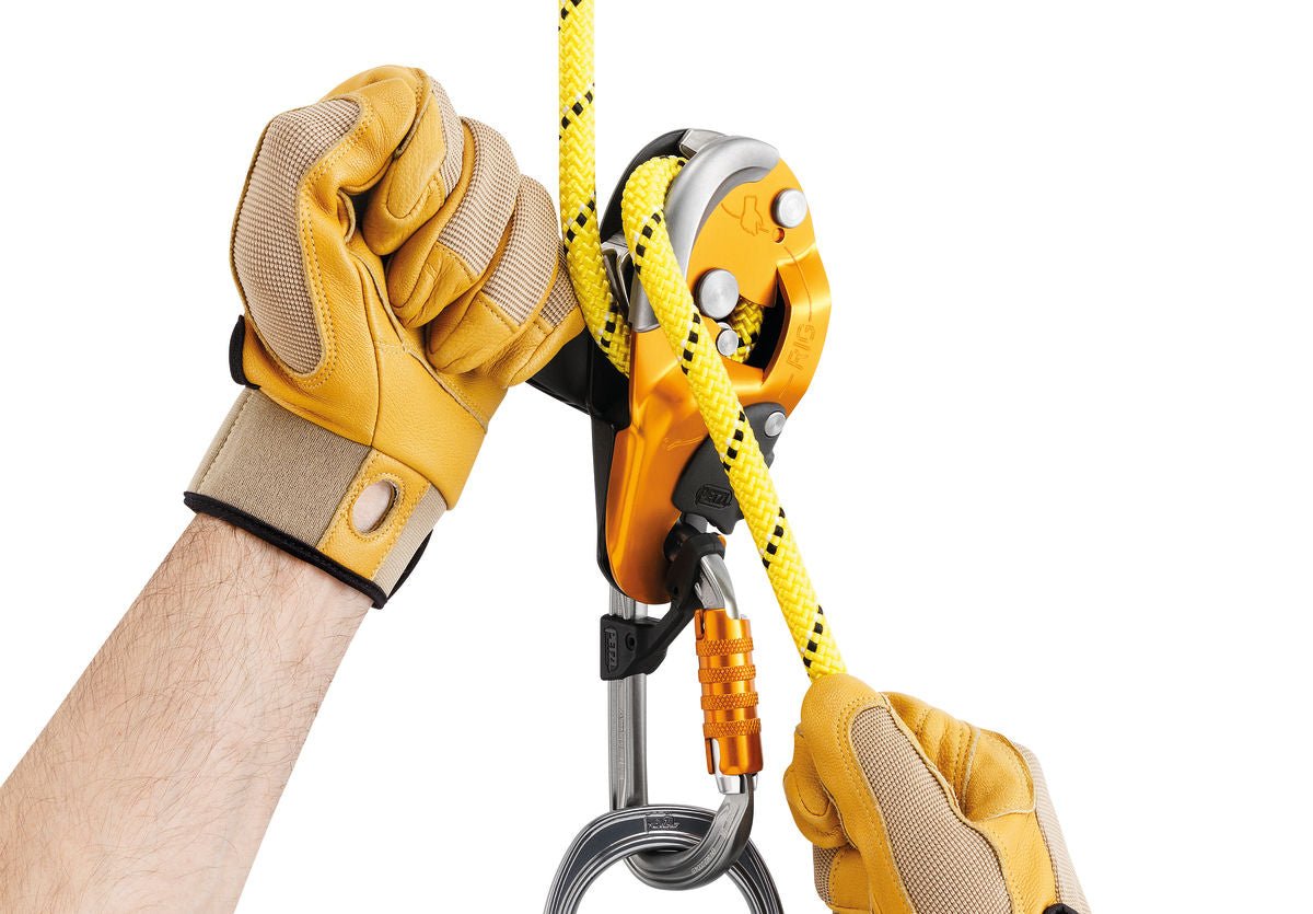 Petzl - Abseilgerät Rig - Wicki Forst AG