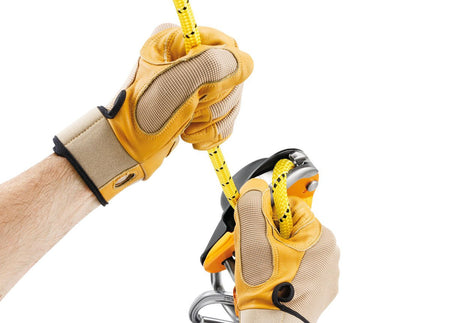 Petzl - Abseilgerät Rig - Wicki Forst AG