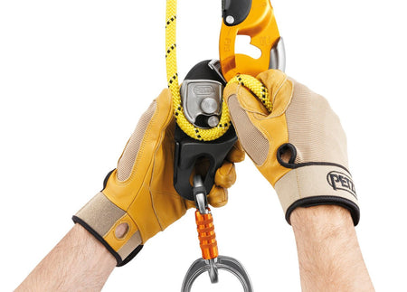 Petzl - Abseilgerät Rig - Wicki Forst AG