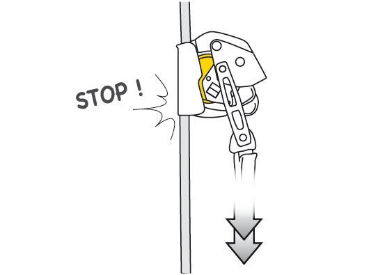 Petzl - Auffanggerät Asap® Lock - Wicki Forst AG