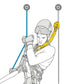 Petzl - Falldämpfer Asap’Sorber - Wicki Forst AG