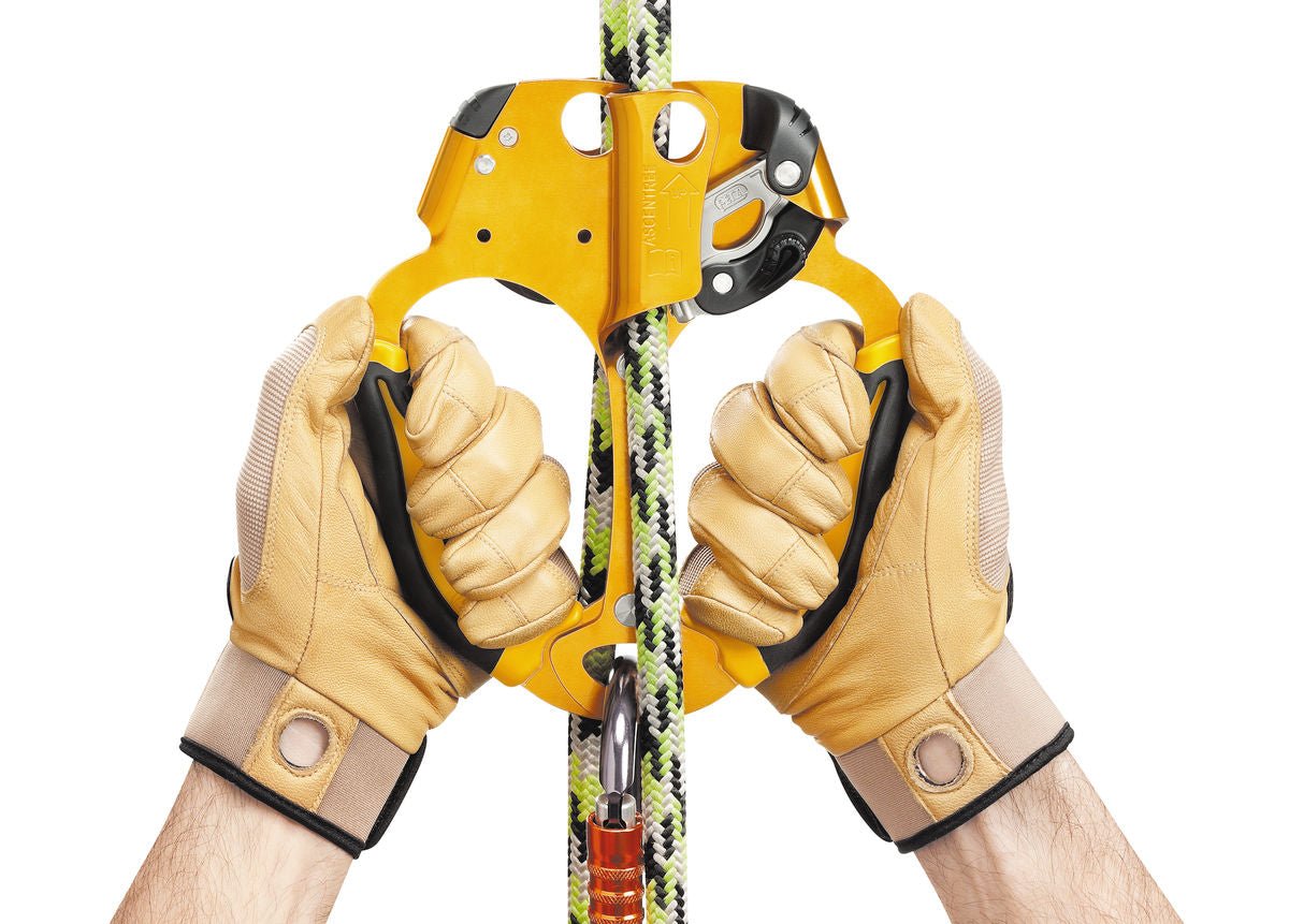 Petzl - Handsteigklemme Ascentree - Wicki Forst AG
