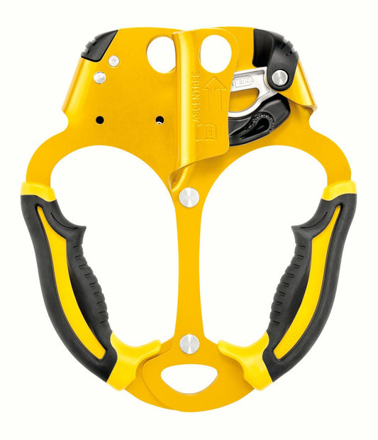 Petzl - Handsteigklemme Ascentree - Wicki Forst AG