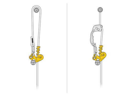 Petzl - Prusikrolle ZigZag - Wicki Forst AG