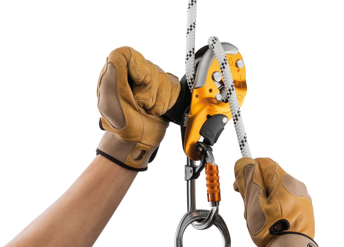 Petzl - Seil Axis 11 mm - Wicki Forst AG