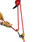 Petzl - Seil Vector 12,5 mm - Wicki Forst AG