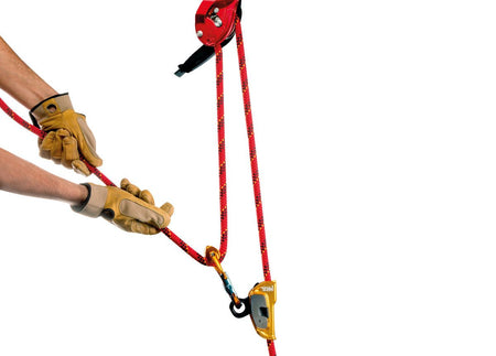 Petzl - Seil Vector 12,5 mm - Wicki Forst AG