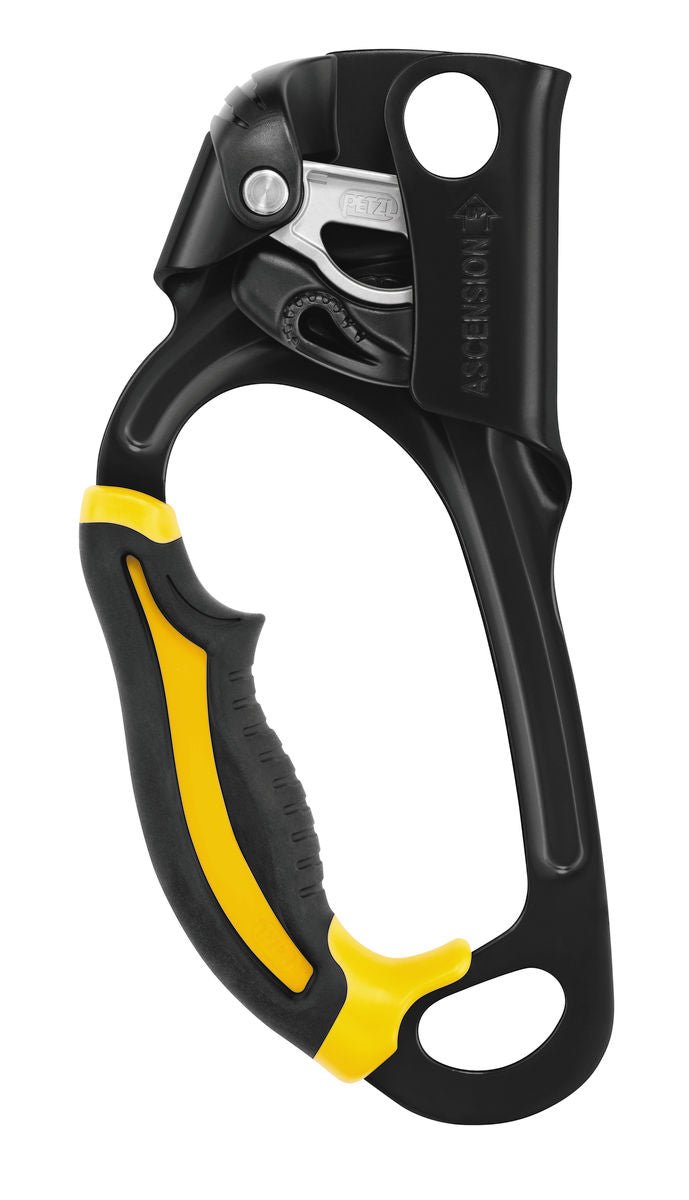 Petzl - Steigklemme Ascension - Wicki Forst AG