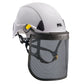 Petzl - Vizen Mesh - Wicki Forst AG