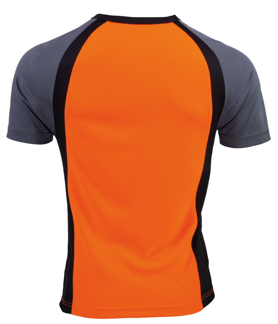 pl311-hinten
