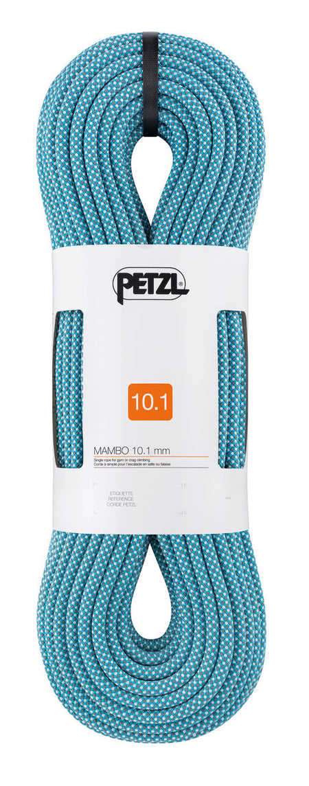 r32ac-mambo-101_lowres