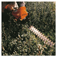 Stihl - HS 45 Heckenschere - Wicki Forst AG